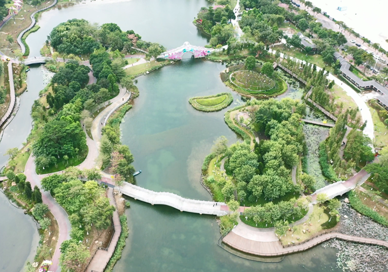 重建水下生態(tài)系統(tǒng)，提升水體自凈能力
